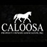 Caloosa Community Logo