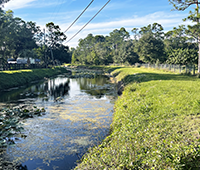 retention pond clean up iin Broward County