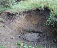 Sinkhole in backyard